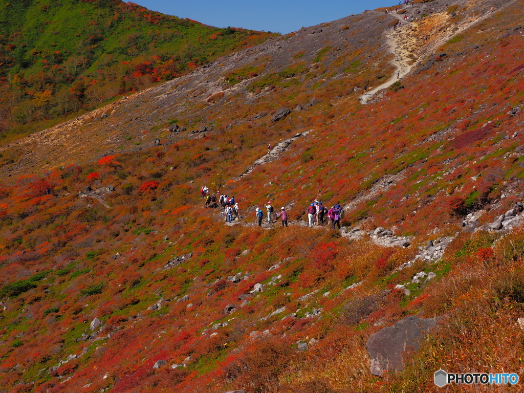 一本の山道　PA040381