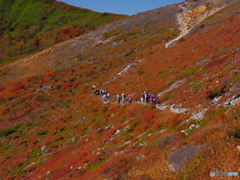 一本の山道 PA040381