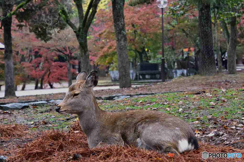 今年もよろしくお願いします