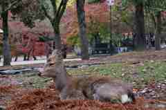 今年もよろしくお願いします
