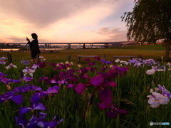 夕暮れに佇む　P1090914