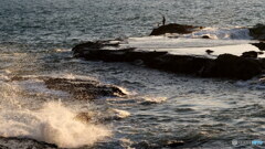 釣り人一人　P1139815