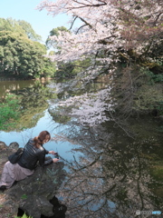 リフレクションその２　P1172324