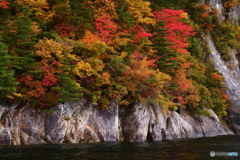 錦秋の奥只見湖　P1017330