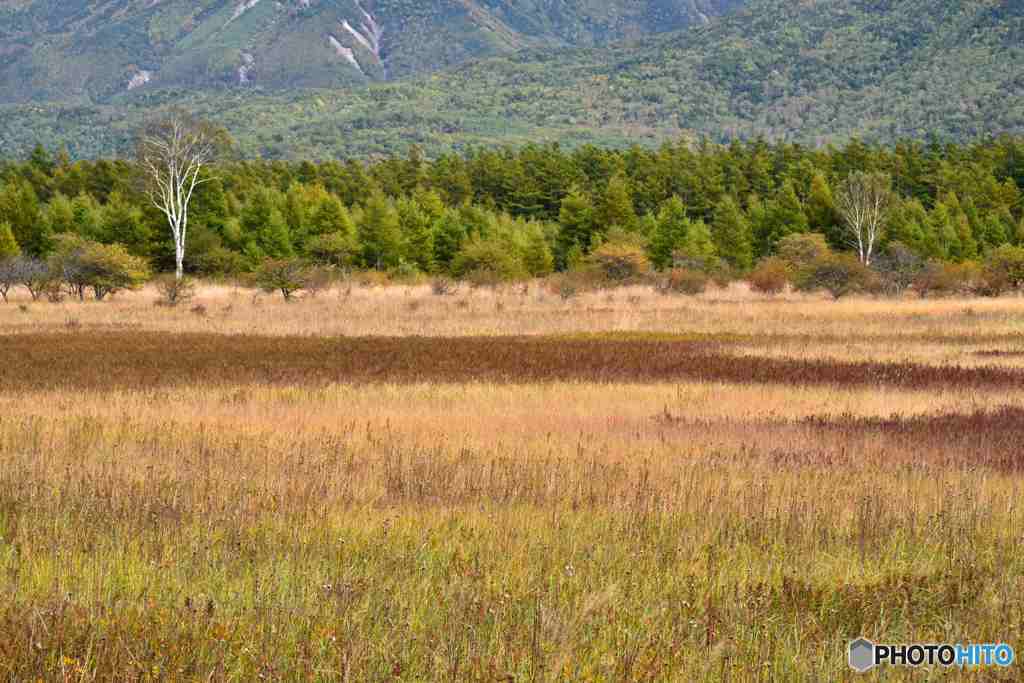 奥日光の初秋６ー草紅葉その２