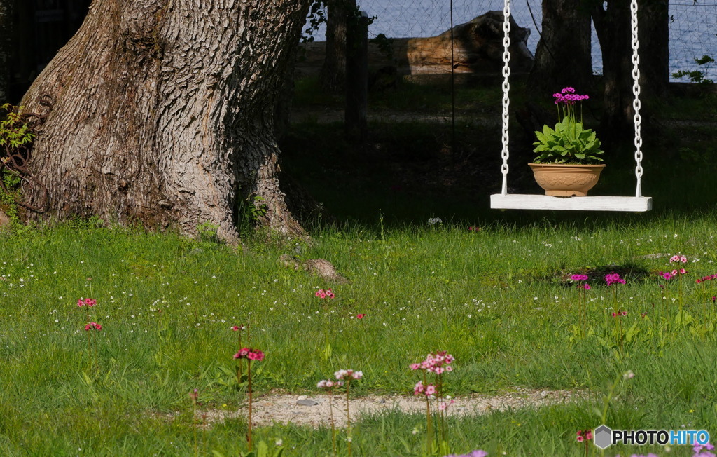 ブランコ　P1040912