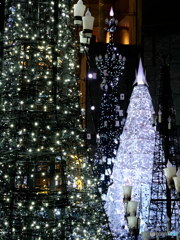 Merry Christmas~1  P1030085