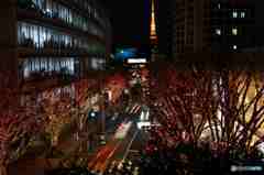 華やかー遠くに東京タワーがその1 華やかー遠くに東京タワーがその1