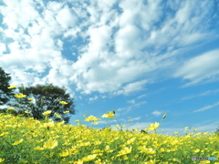 秋の空　P9243725