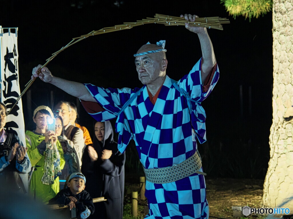 大江戸玉すだれ