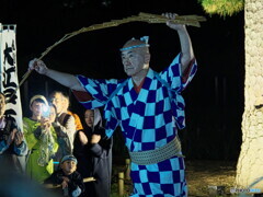 大江戸玉すだれ