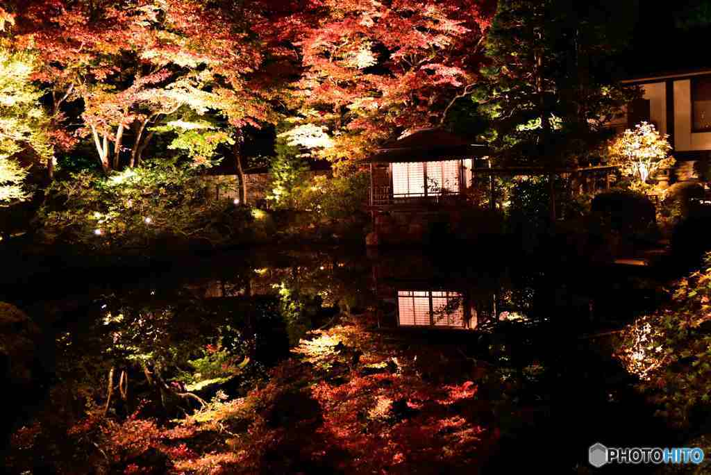 輪王寺逍遙園の夜と昼その１