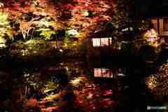 輪王寺逍遙園の夜と昼その１