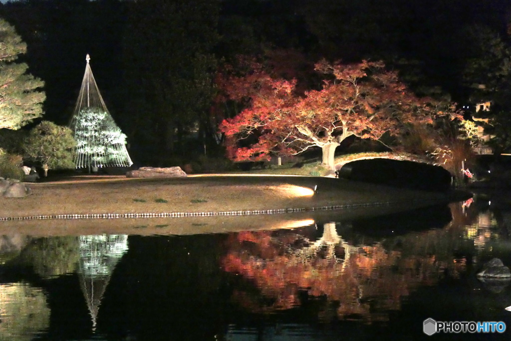 六義園のライトアップ　P1080575