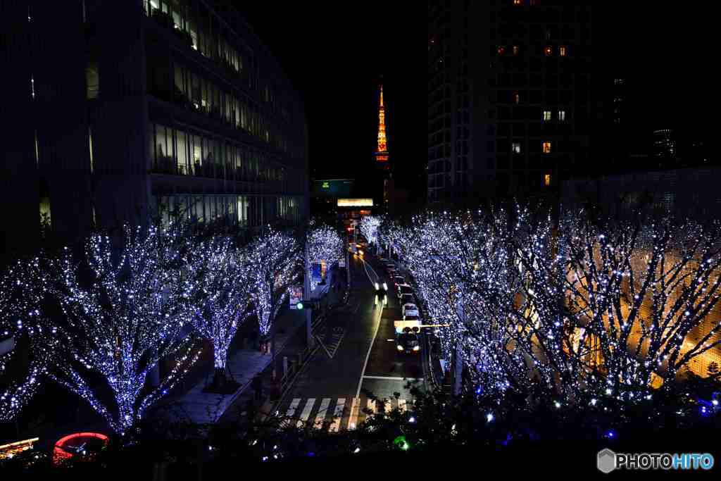 華やかー遠くに東京タワーがその２