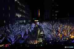 華やかー遠くに東京タワーがその2 華やかー遠くに東京タワーがその2