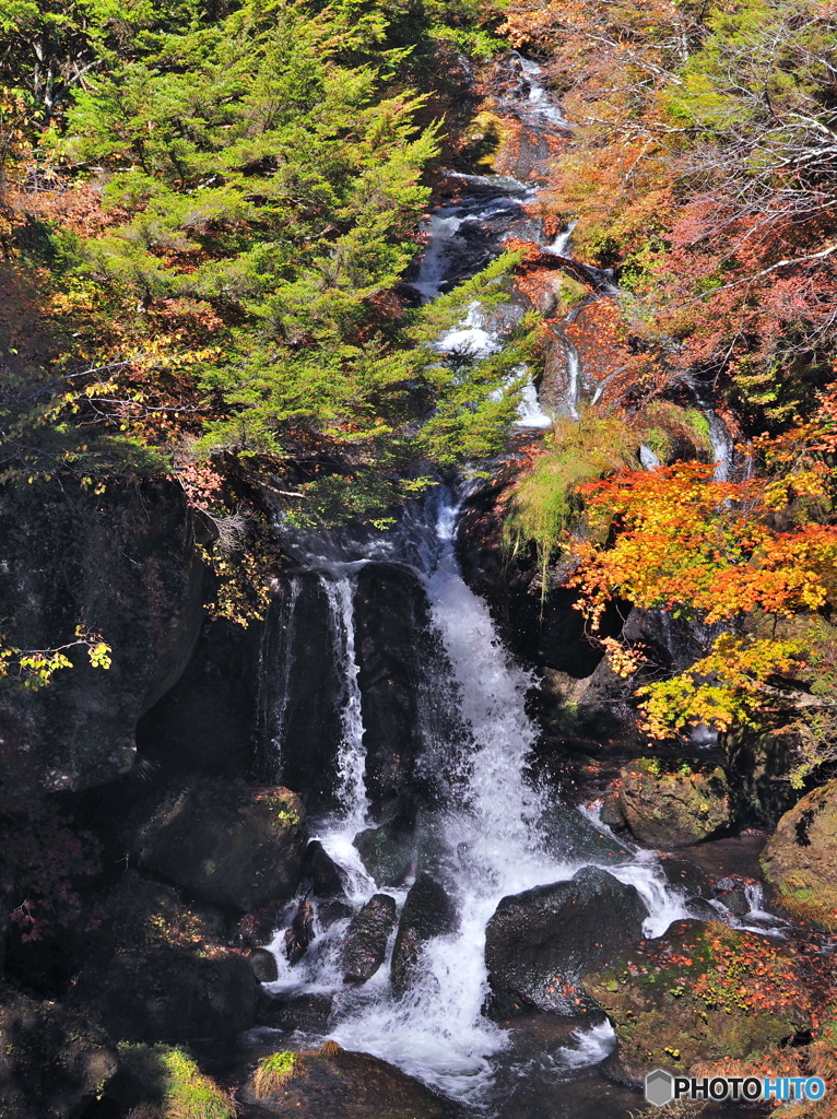 紅葉の間に　PA150535