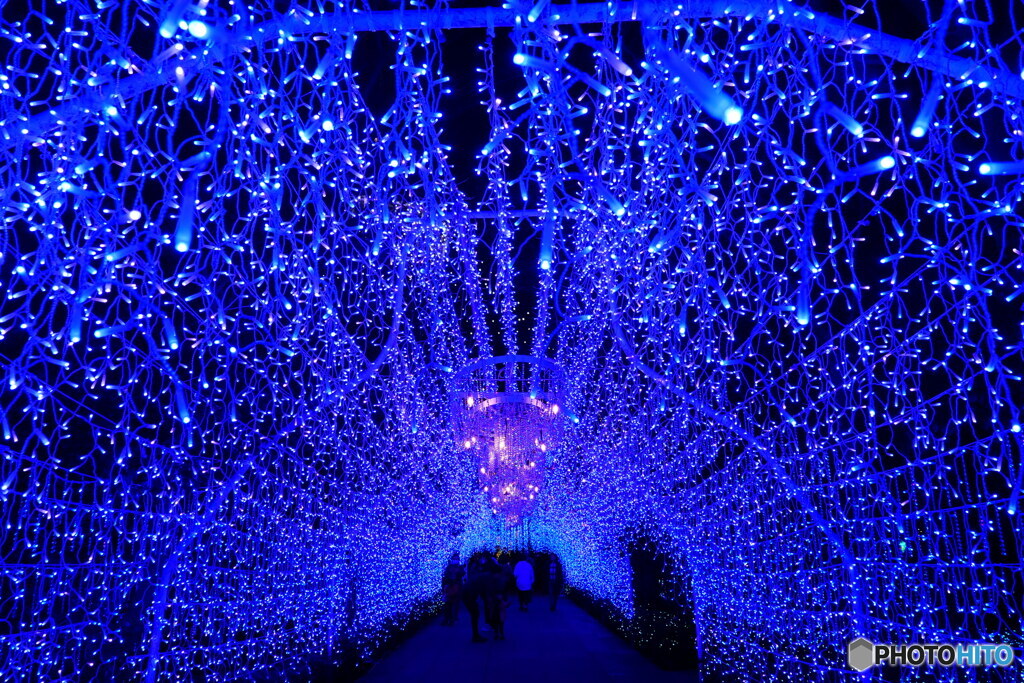 湘南シャンデリア　P1140221