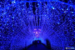 湘南シャンデリア　P1140221