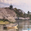 横浜三渓園の花見＃１