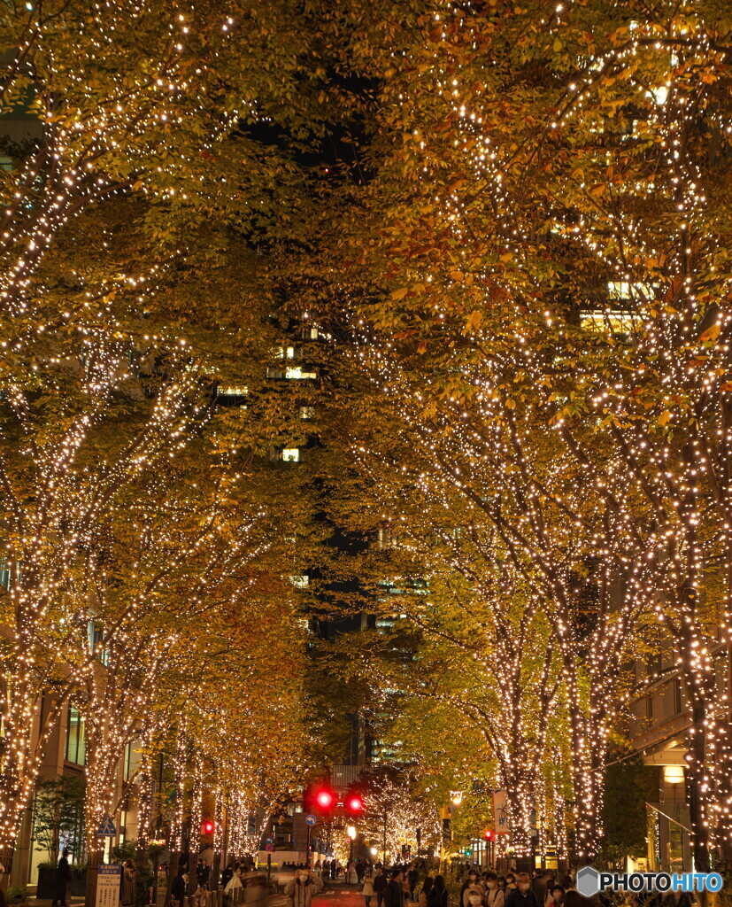 シャンパンゴールドの世界～よい新年をお迎えください