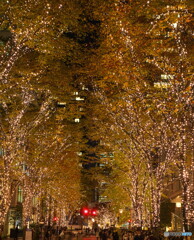 シャンパンゴールドの世界～よい新年をお迎えください