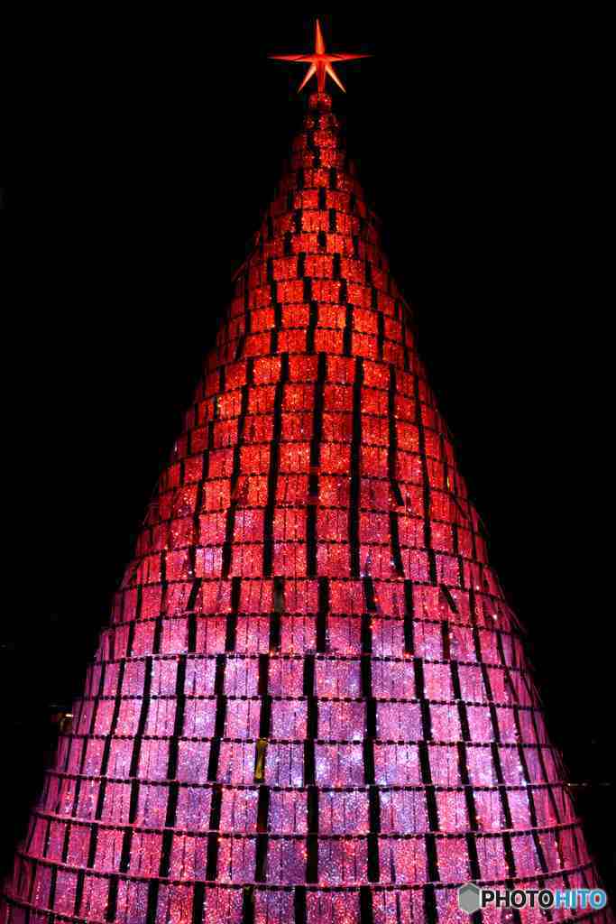 クリスマスツリーその２