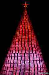 クリスマスツリーその２