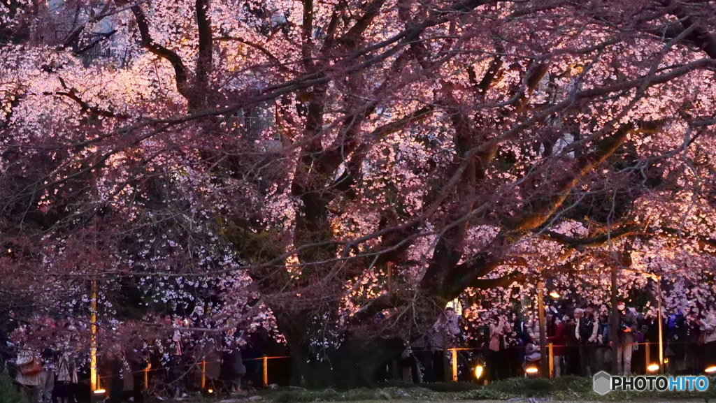 一本勝負其の1　P1054386