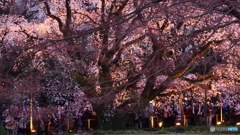 一本勝負其の1　P1054386