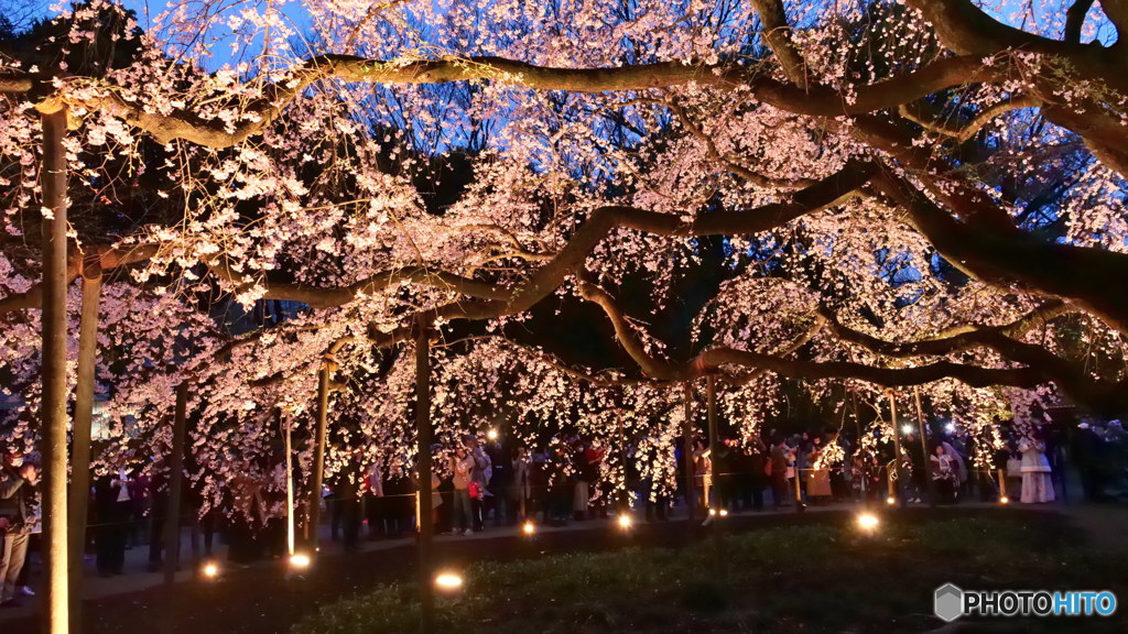 一本勝負其の２　P1054430