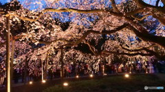 一本勝負其の２　P1054430