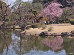 浅春の風景＃１