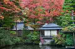 輪王寺逍遙園の夜と昼その２