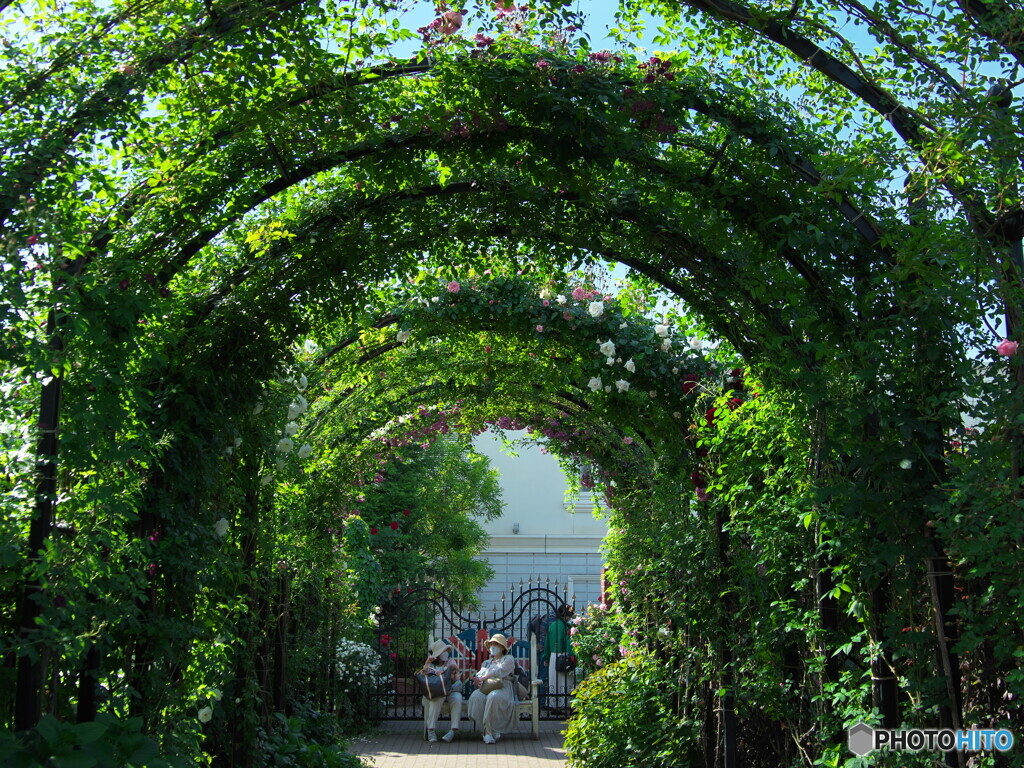 休憩中　P5102997