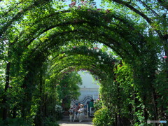 休憩中　P5102997