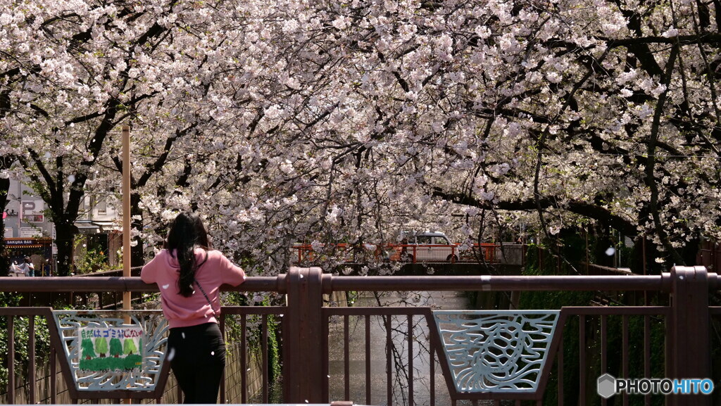 何を思う　P1156257