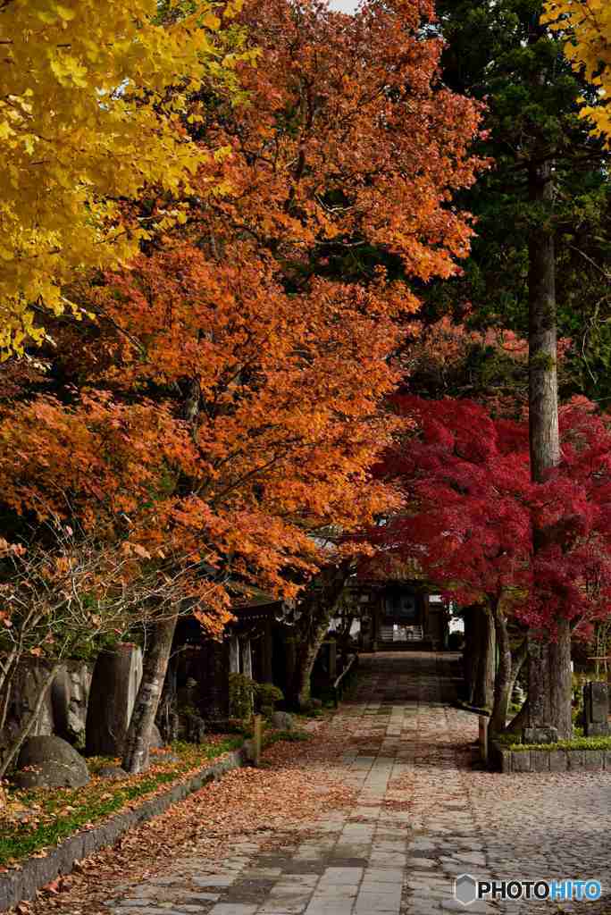 箱根長安寺の紅葉～山門に至る