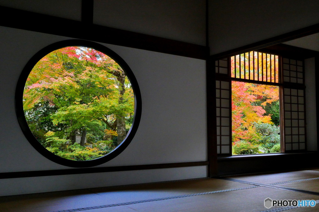 源光庵の紅葉　P1080201