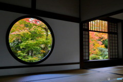 源光庵の紅葉　P1080201
