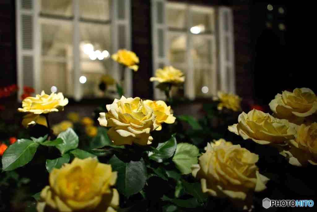 ライトアップ～２