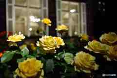 ライトアップ～２