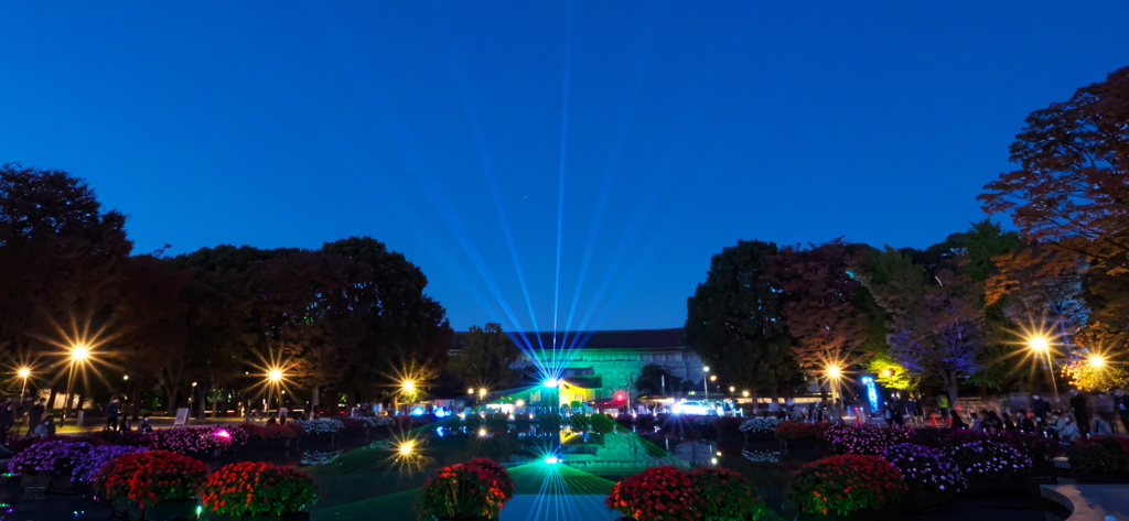 レーザービームショウ　P1197324