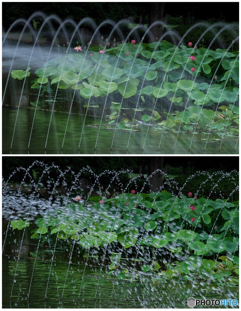 どちらがお好みですか