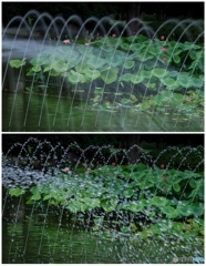 どちらがお好みですか