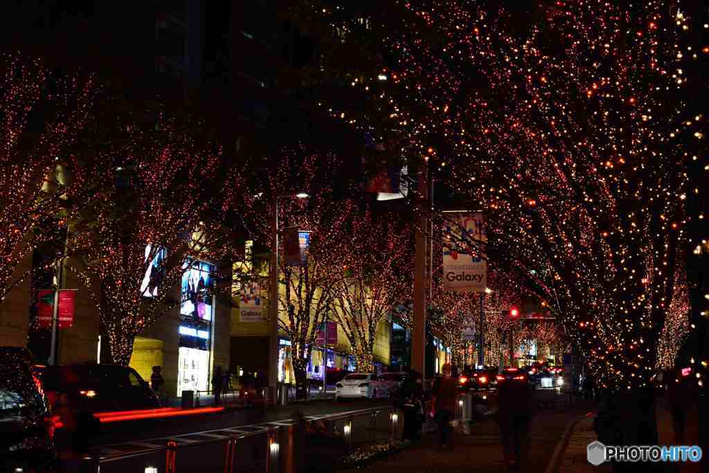 華やかにその３－けやき坂のイルミ