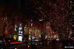 華やかにその３－けやき坂のイルミ