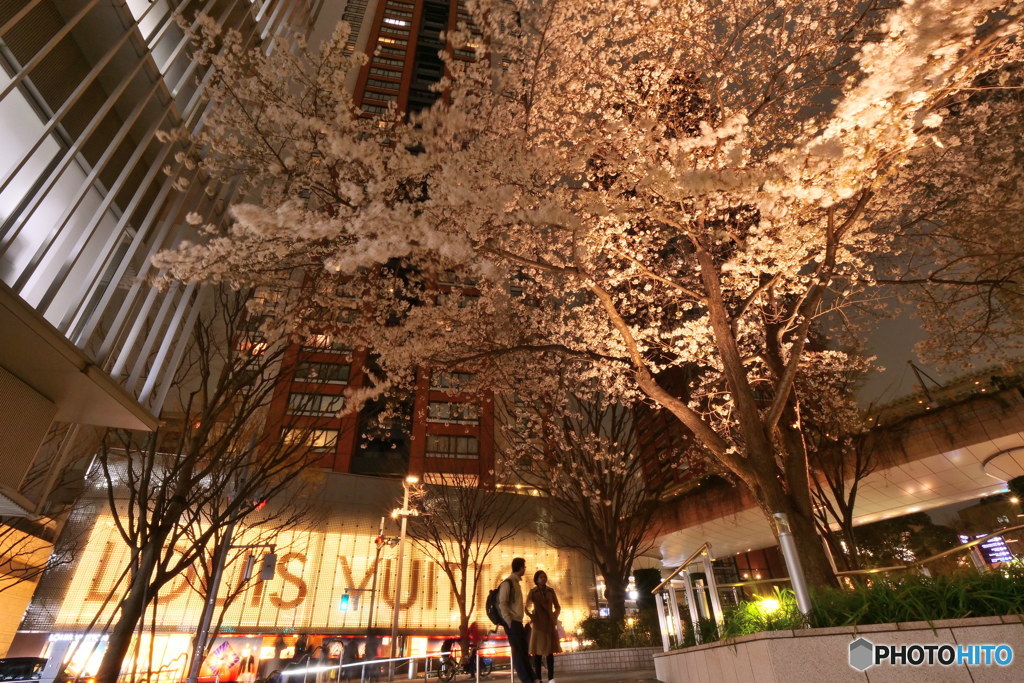 恋人たち其の2　P1054958