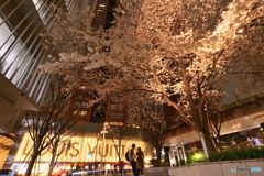 恋人たち其の2　P1054958