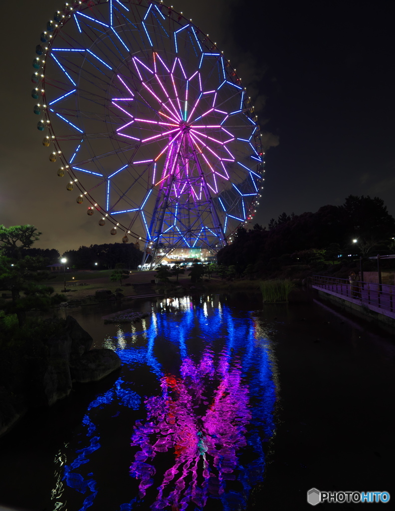池に映った大観覧車　P1168626